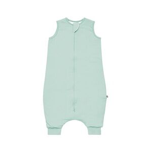 Kyte Baby Sleep Bag Walker— Sage, 2.5 TOG
